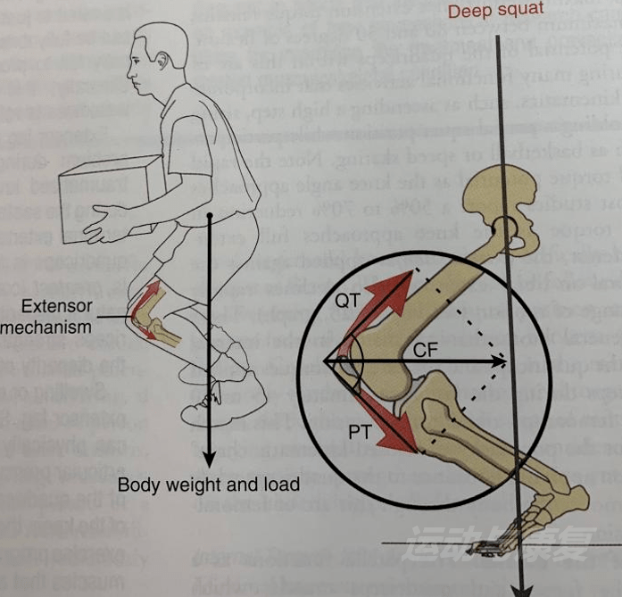 [ 膝盖与脚尖的关系]
