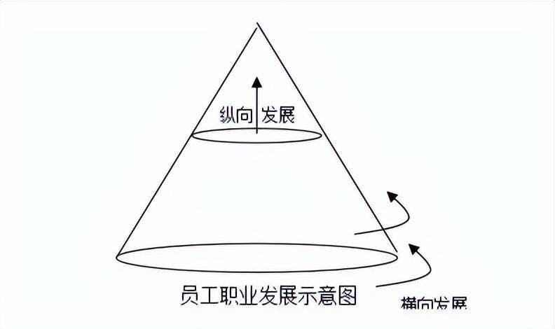 華為員工職業發展手冊_崗位_管理_公司