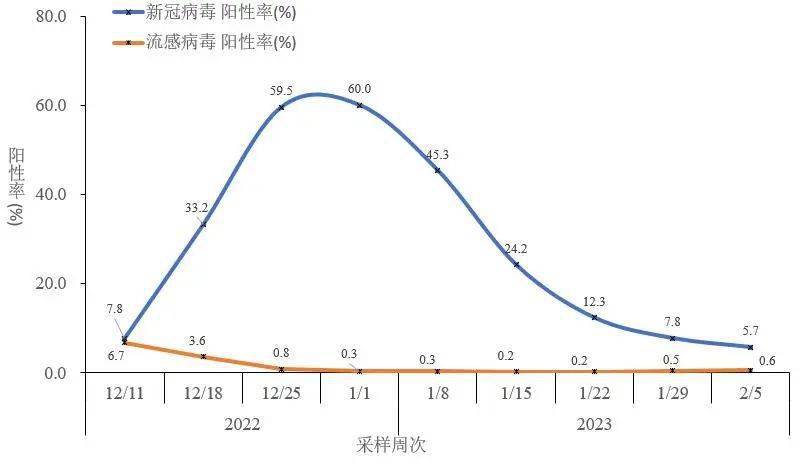 石家庄疫情数据统计图图片