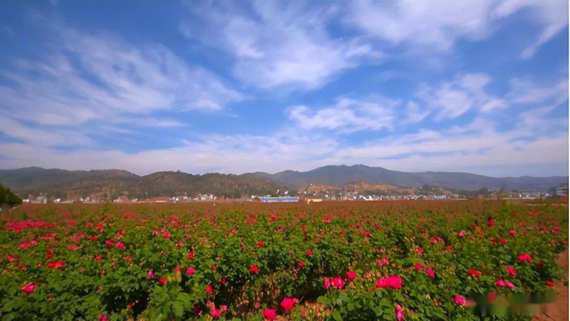 楚雄州:乡村振兴擘画新图景_牟定县_江坡镇_农村