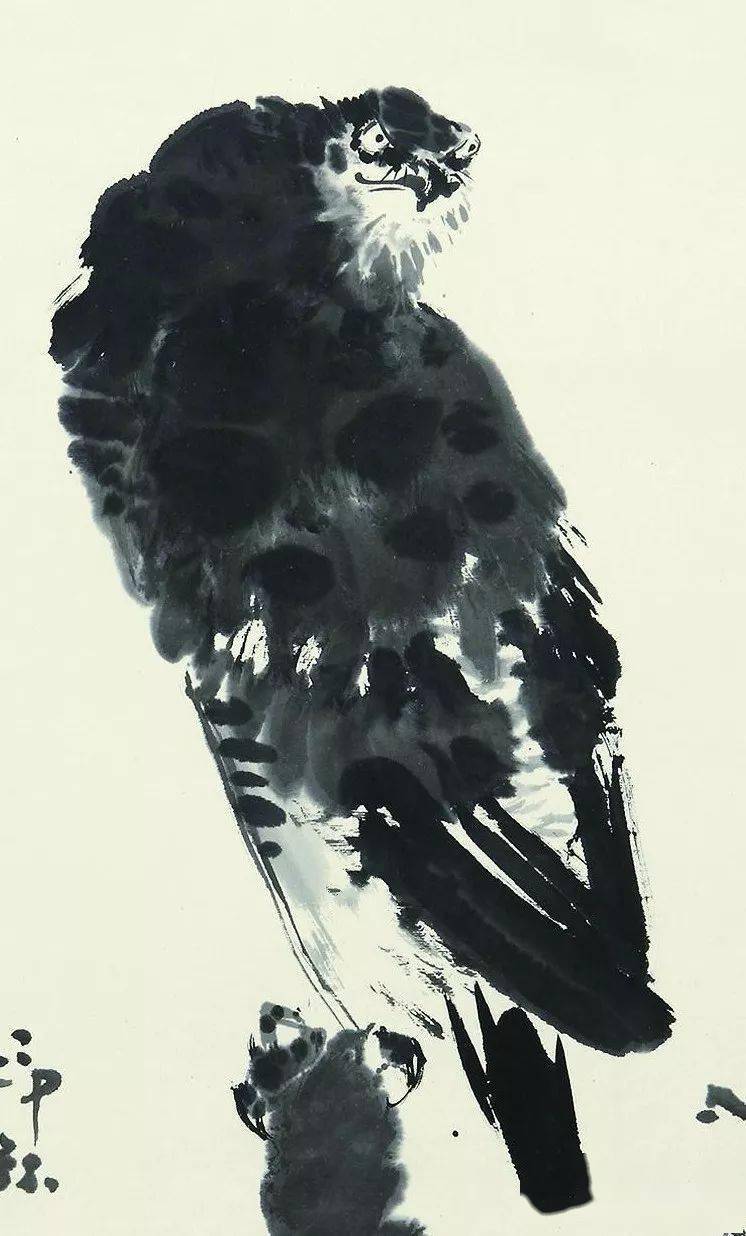 萧朗画鹰,别具一格!_中国_艺术_花鸟