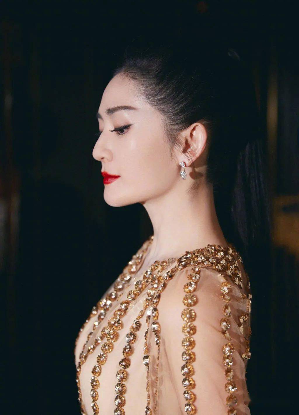 谢娜穿收腰礼服 高马尾搭配红唇气场全开_江湖_靓照_配文