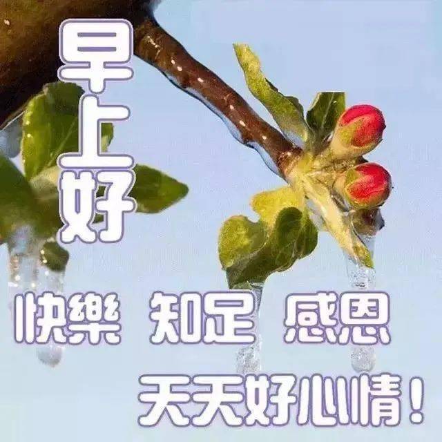 微信精选暖心早上好图片表情祝福语录,非常漂亮的早安问候语图片带字