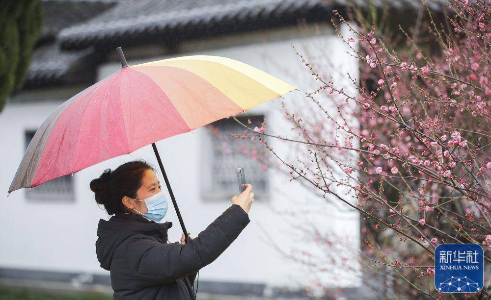 中国的花（中国花之王是哪一种花） 第2张