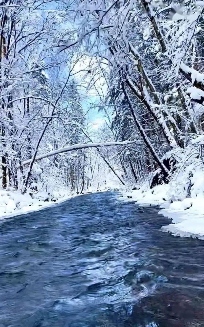 吉林的春雪仙境，你感受到了吗？探秘冰雪浪漫与温暖交织的二月之旅雪舞春光，吉林等你共绘冬春之恋