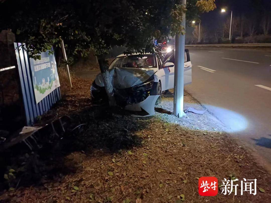 行驶途中为避让小猫,小轿车迎头撞上大树_处置_车速_绿化带
