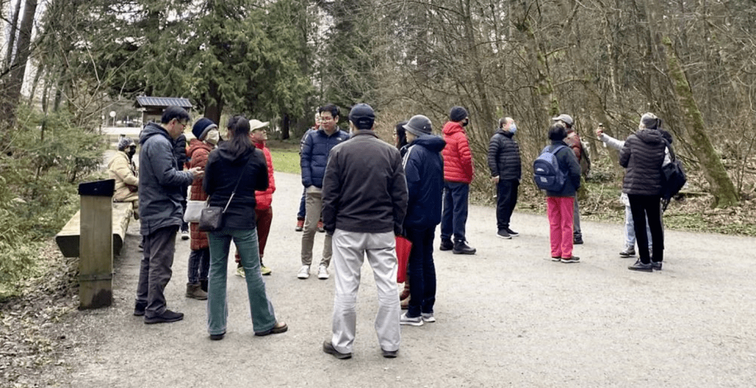 把相亲角搬到加拿大!外国人惊奇围观!