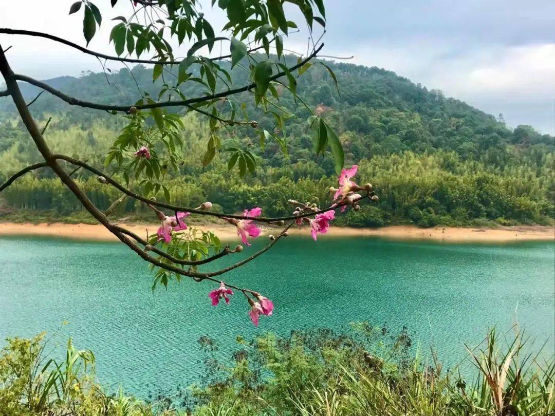 踏青,徒步的地方那湖水的藍,那群山的綠,融為了一體放眼望去,碧波萬里