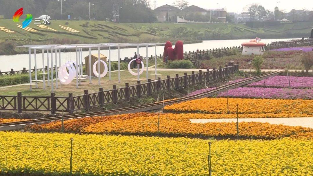三水:构建乡村振兴示范带 产业驱动全域振兴_发展_改革_农业