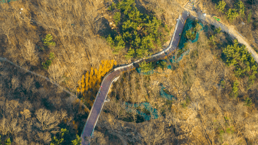浮山生态公园|打造25公里城市山体最美绿道_青岛_建设_市民