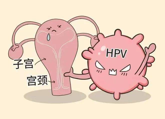 hpv感染症状 来自搜狐网