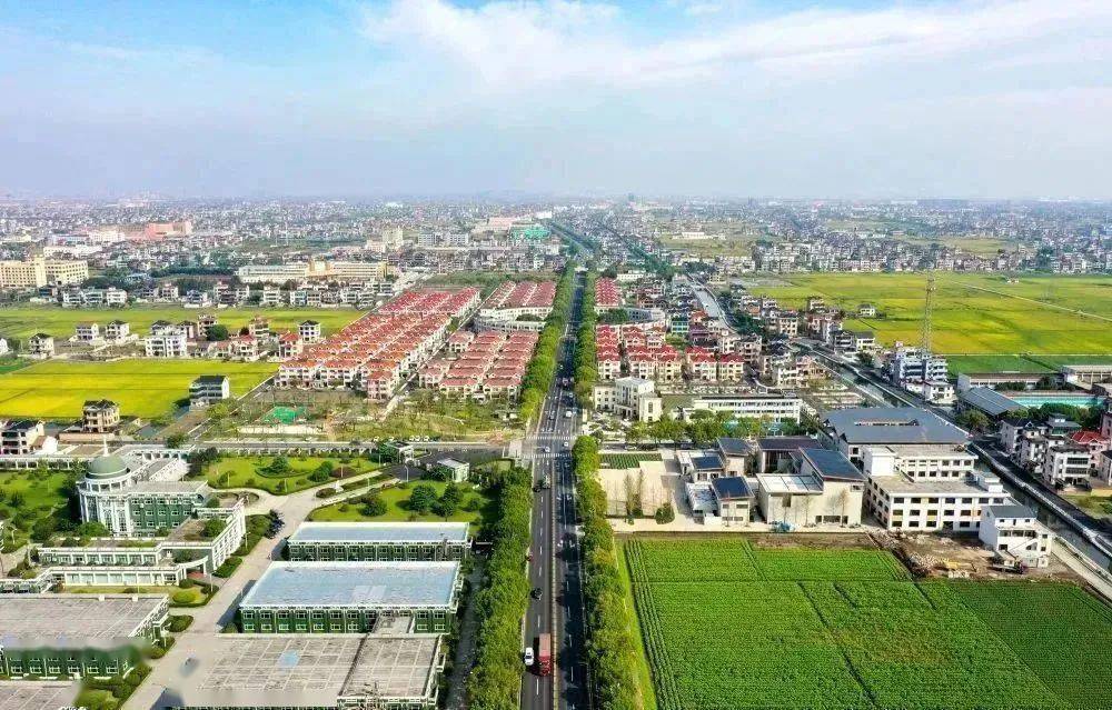 财政部党组成员,副部长王东伟一行来瓜沥梅林村调研_乡村_瓜沥镇_建设