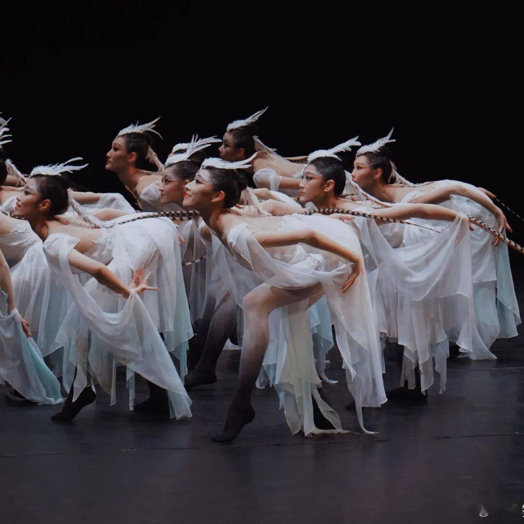 古典群舞《白鹭游》编导:姜爱东指导:王伟舞者:北京舞蹈学院(朱咏琪