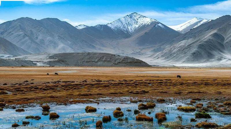 帕米尔高原 布伦口乡_阿克陶县_口村_海拔