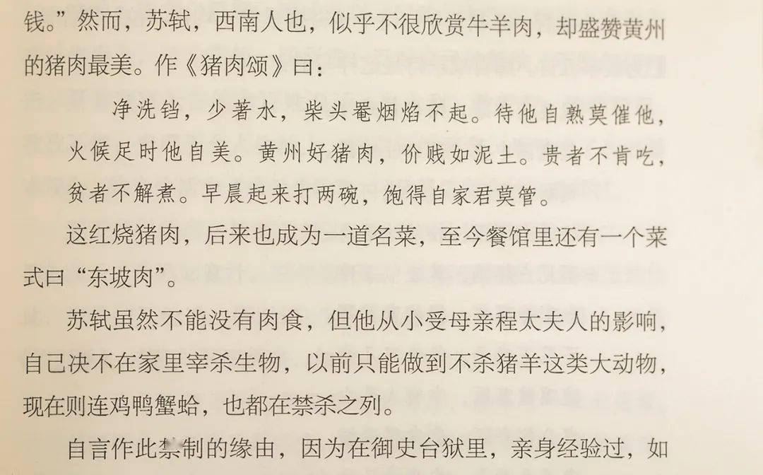 年少不识苏东坡,读懂已是断肠人