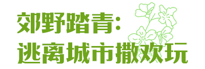 不行万亩樱花园，那座宝藏城市竟还有32个赏花地？