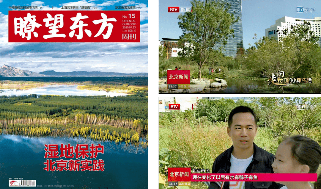 小湿地大生态——北京小微湿地庇护修复示范建立项目理论 | LA理事风度