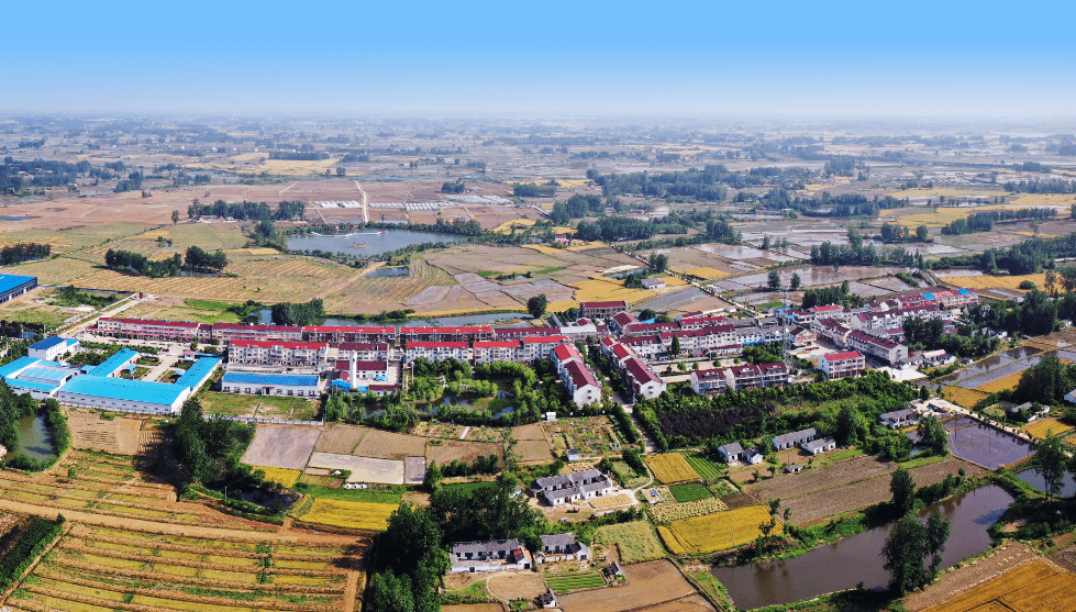 村镇张铺镇八墩村:文明乡风润人心 秀美田园入画来_天长市_千秋_文化