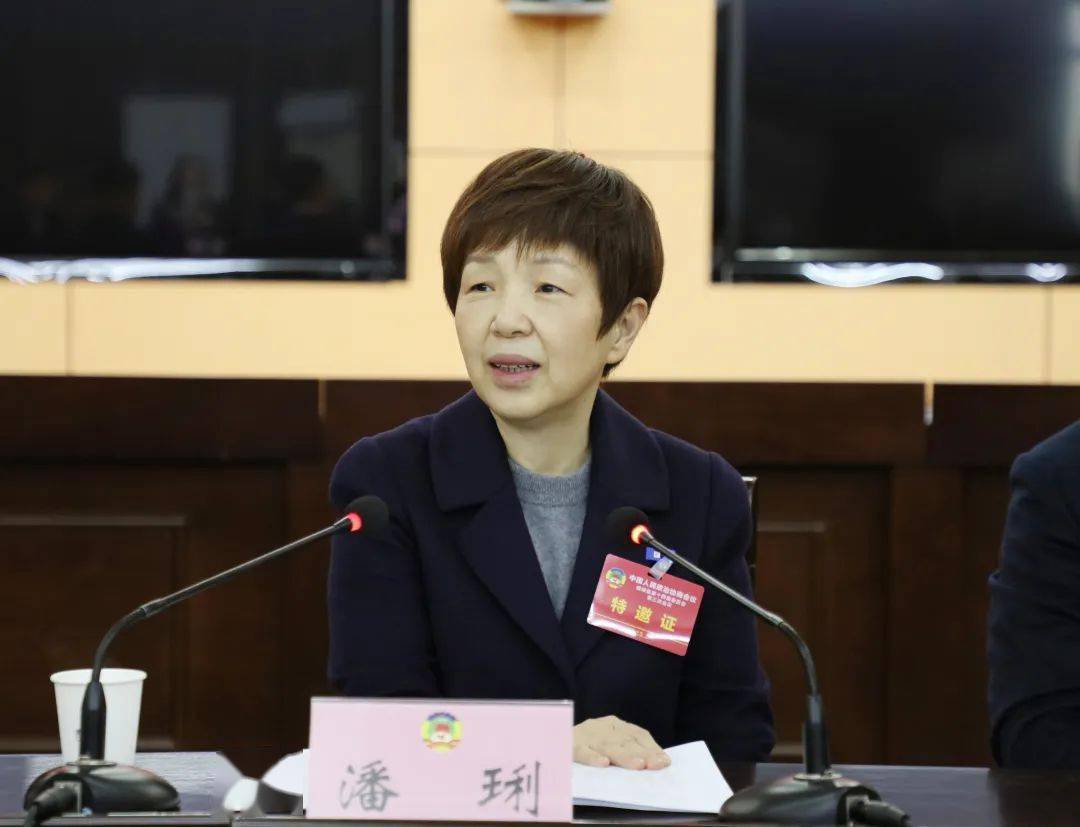 讨论现场,委员们围绕县委书记潘琍的讲话和政协工作报告以及政协提案