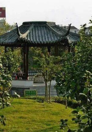 营造科普：中国古建筑营造系列——盝顶的构造_木料_隆兴寺_露天