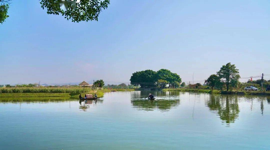 汕头:奋力开创城乡区域协调发展新局面_建设_乡村_工程