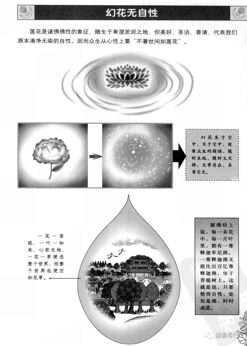 《圆觉经》系列29:病目幻花_莲花_比喻_意象