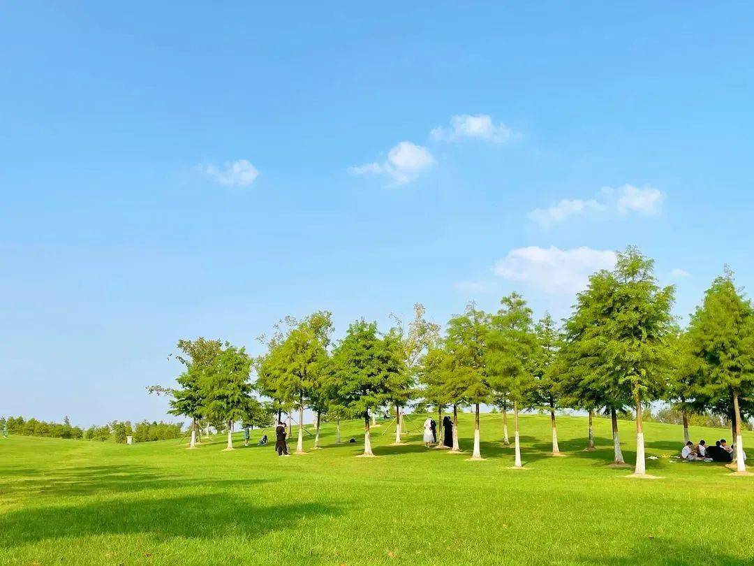 岸上草原——不用長途跋涉就能滿足都市人的草原夢,露營在一望無際的