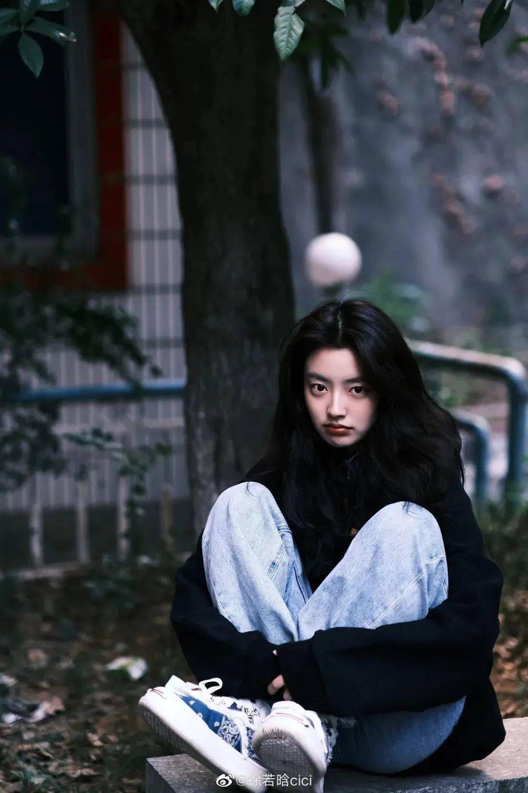 权威三小只