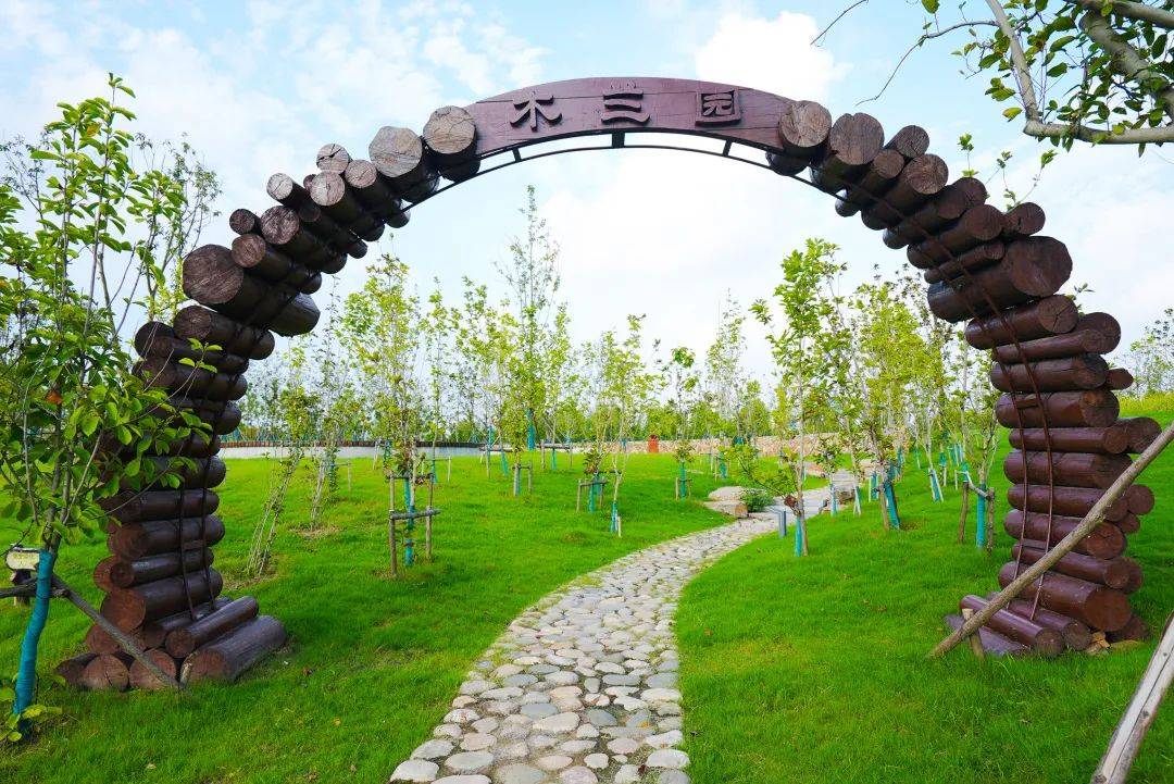 阜阳这个园,比双清湾公园还大!_植物园_南园_园区