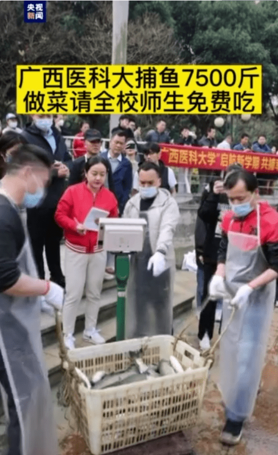 广西一高校捞鱼7500斤 师生免费品尝“幸福鱼”_活动_捕捞_莫祥龙