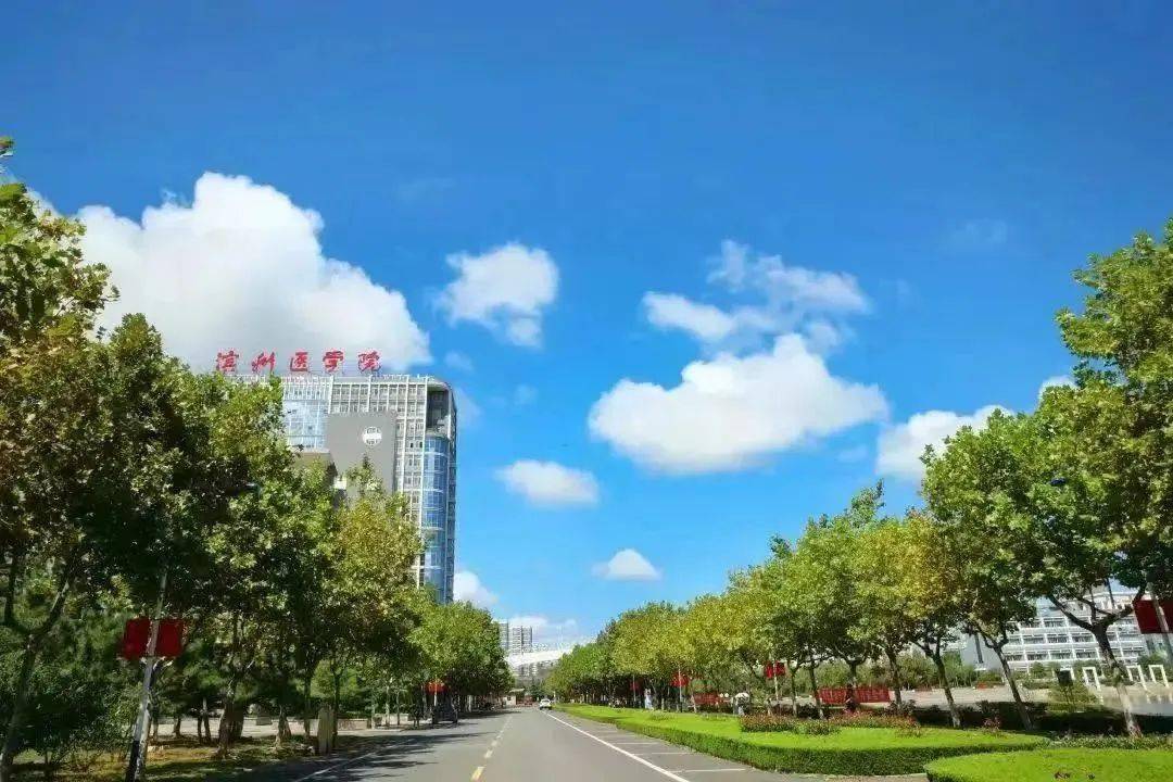 山东城市服务职业学院_烟台城市科技职业学院_山东省城市服务技师学院