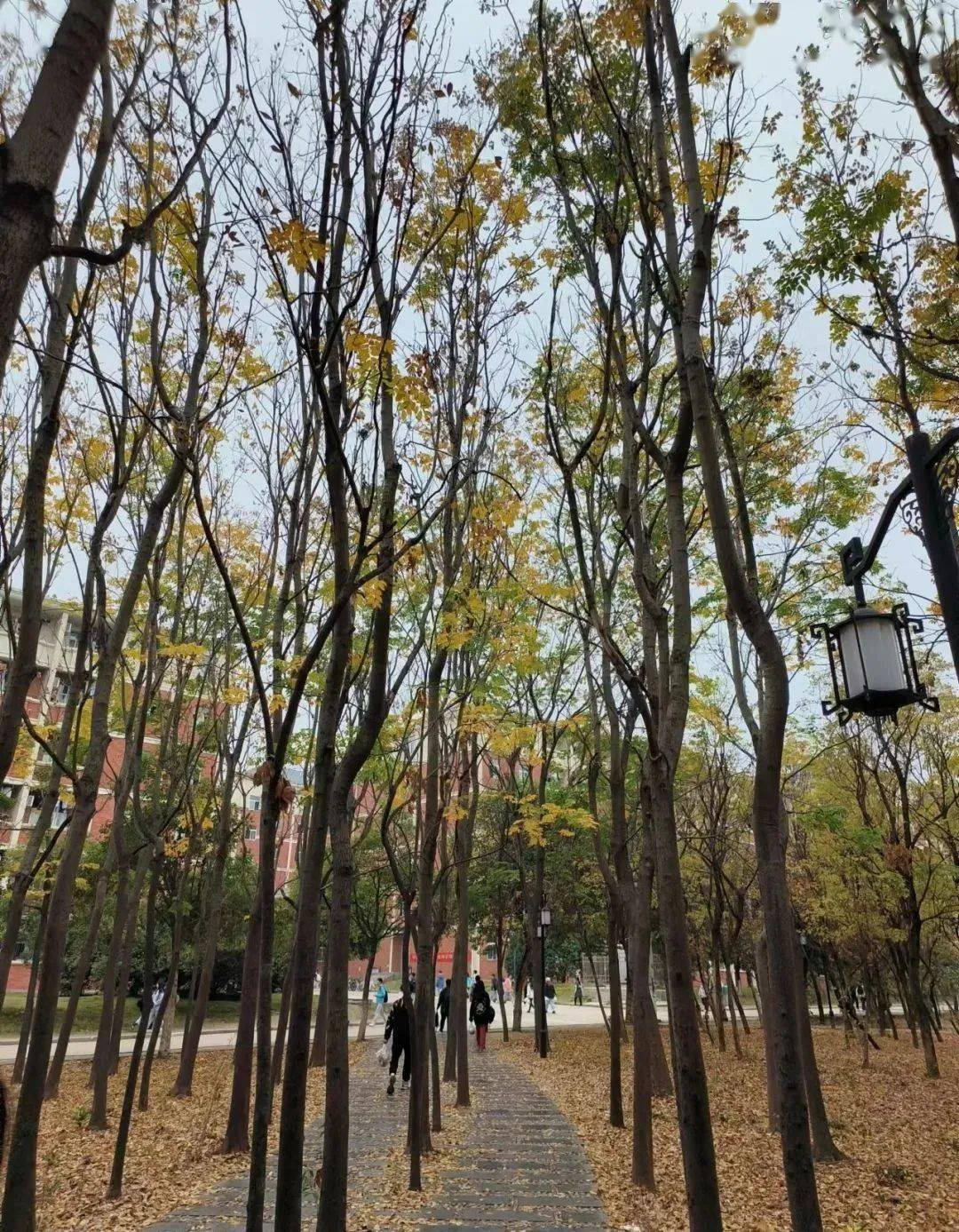 的青春和热情让我们私享温馨的美时光房间——刘瑞琦我们在同一个屋檐