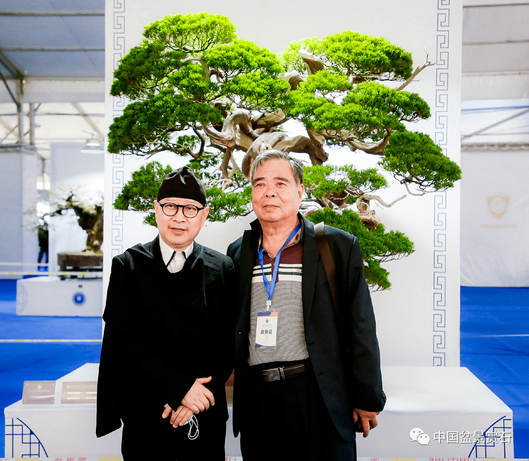 携手奋斗,共创盆景新辉煌——走进王振声的盆景世界_台湾省_展览_园艺