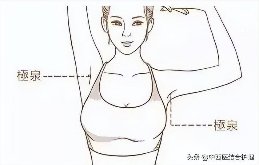 【经络疏通】腋下淋巴疏通的好处_腋窝_疾病_血管