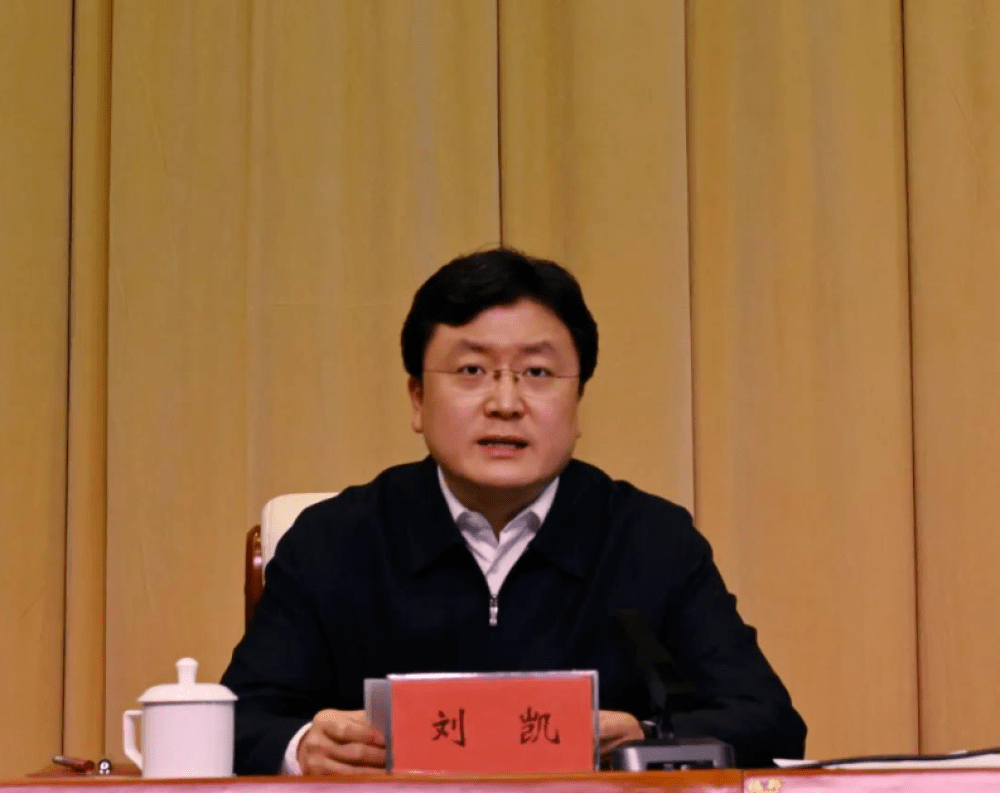 王玺玮当选为湖北省鄂州市市长,系该省首位"80后"市长_内蒙古自治区