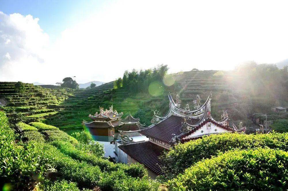 大坪集应庙 香火旺两岸_安溪_保仪庙_大坪乡