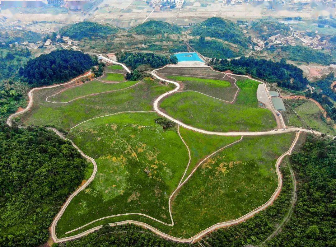 生态环保督察见成效76|南川区金佛山国家级自然保护