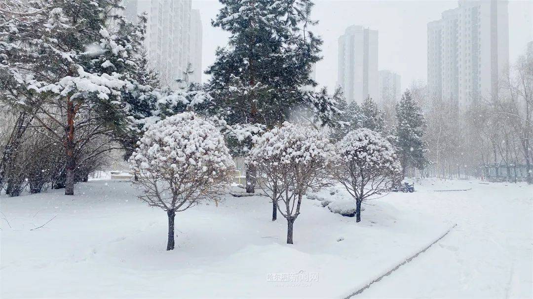 三月的雪花能够有多都雅