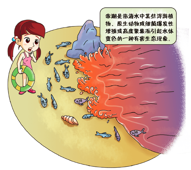 太湖水体富营养化图片