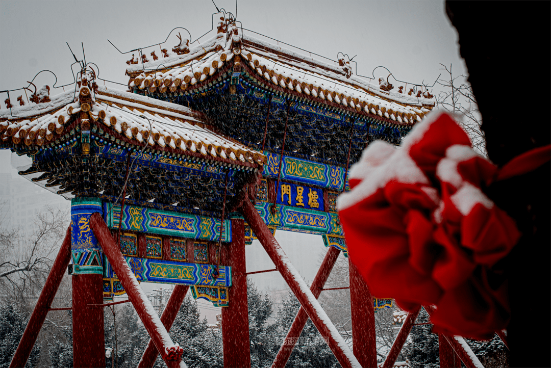 三月的雪花能够有多都雅