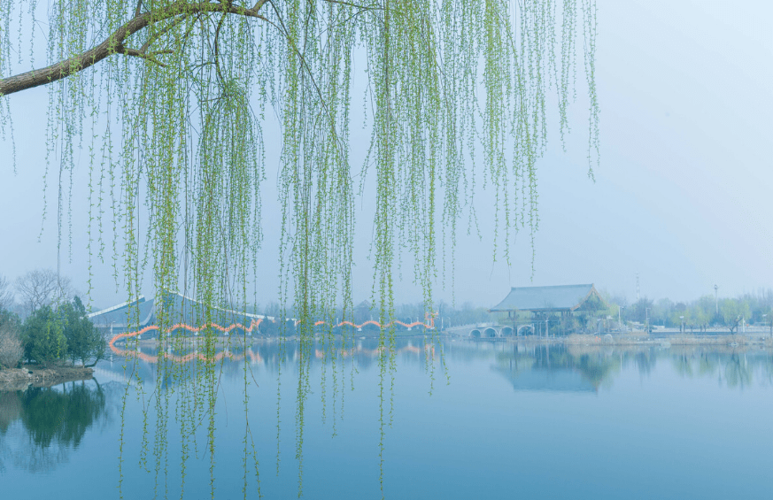 在古代诗词中,柳树的意象还代表风流绮丽的爱情,如"月上柳梢头,人约