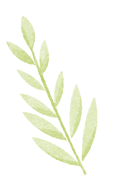 ��һ����ɫ����һƬ���� | ��һѧ�ӽ��Ӻ�ͽ���и�ѡ��