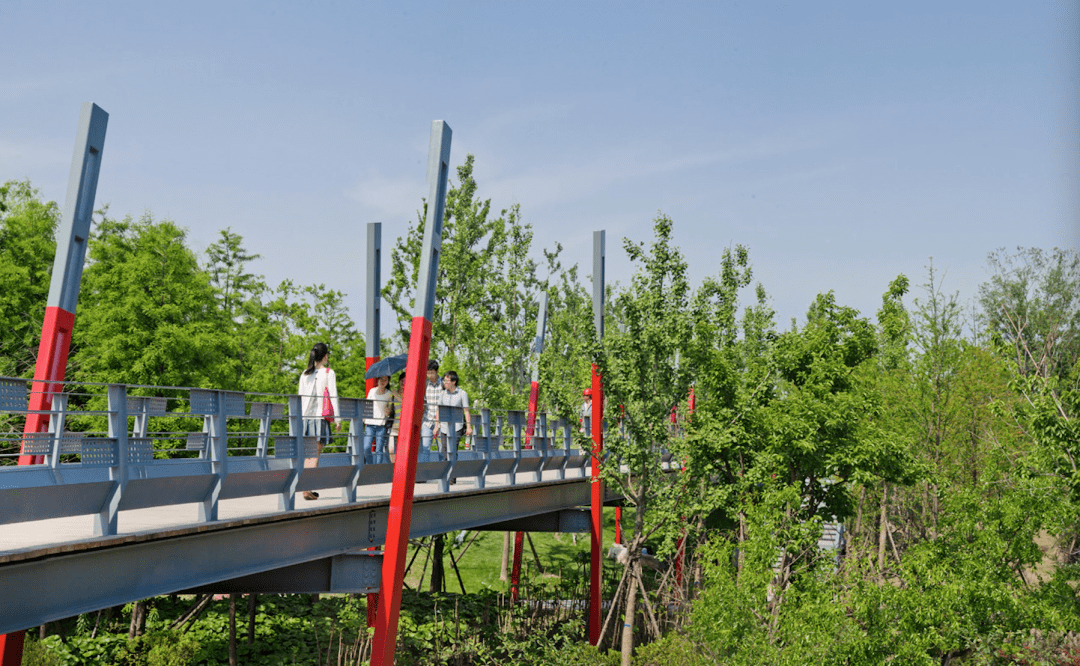 友谊2座公园被命名为首批"上海市新时代文明实践公园"_宝山区_淞沪