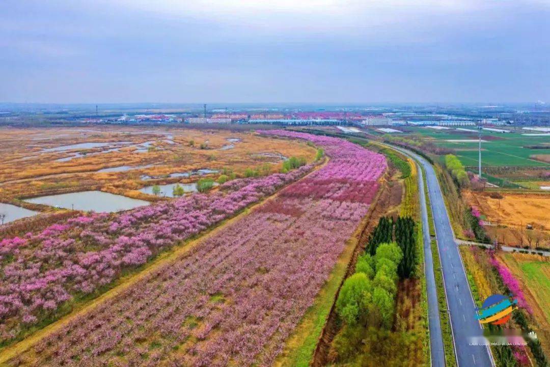 莱西风景图片