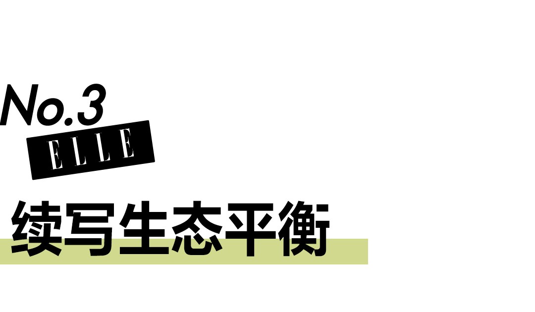 公益短片《守护湿地之美》｜张天爱与吴宣仪配合助力湿地恢复，续写生态平衡