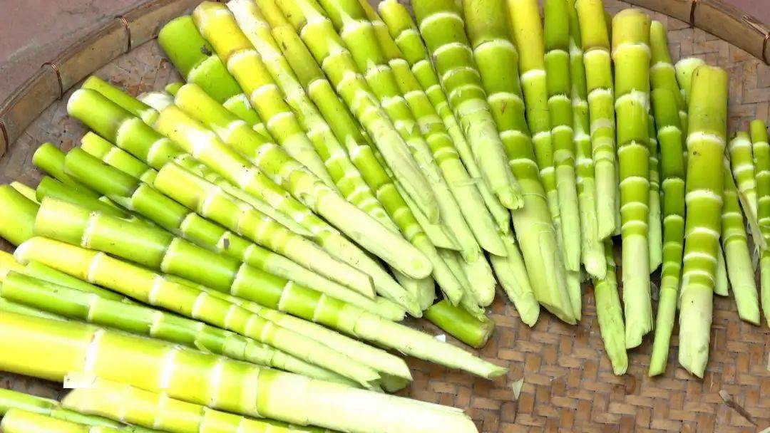 横山苦笋新鲜上市,深受市民青睐_村民_种植_工作