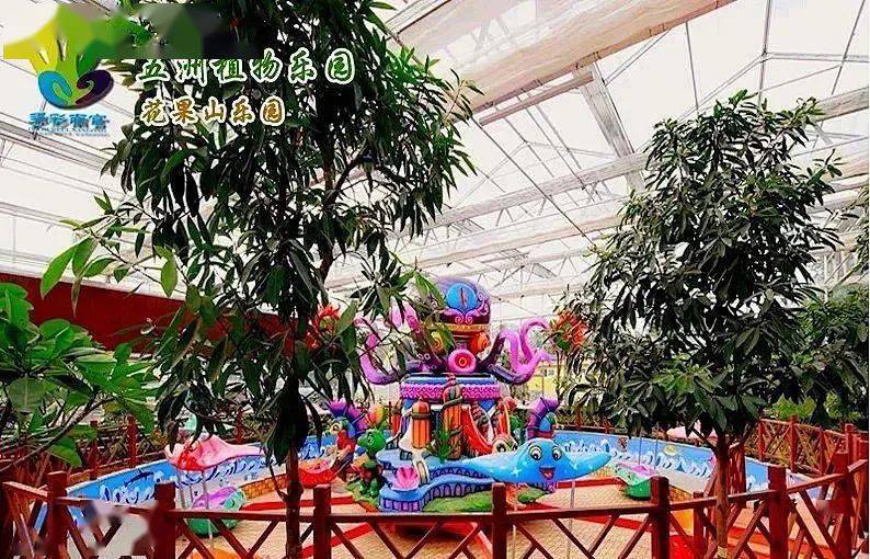 每天不到10塊錢!京西南宮五洲植物樂園¥299起玩一個月!_鸚鵡_兒童_