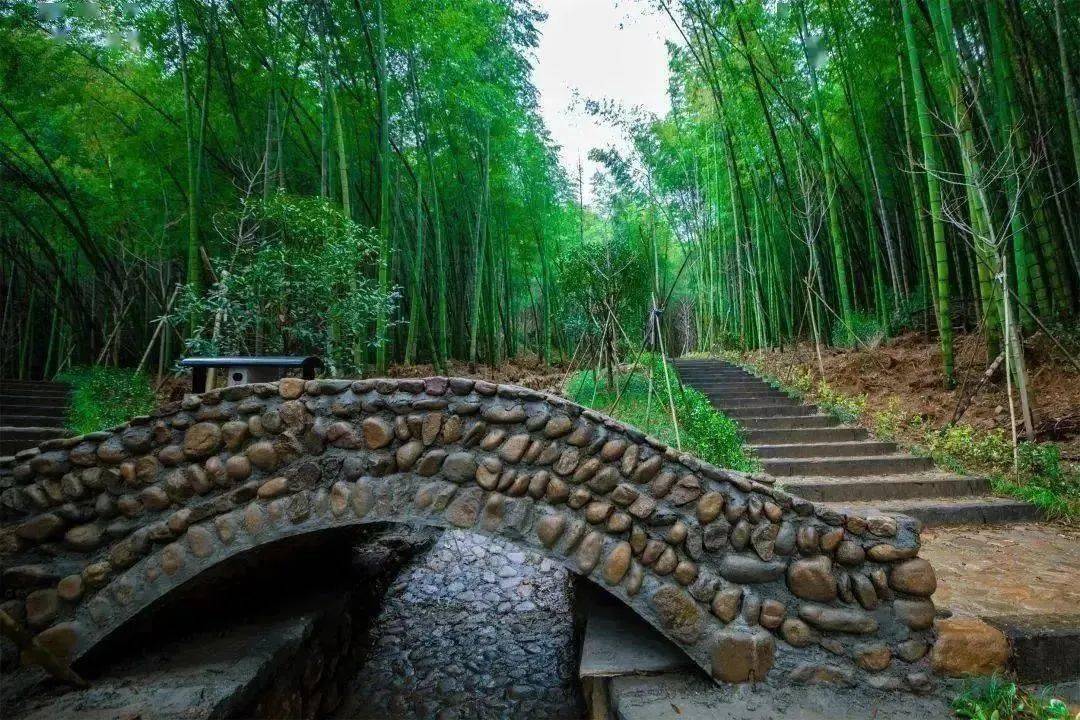 天氣如此好,週末踏春就來蕭山這兒……_氣溫_步道_戴村