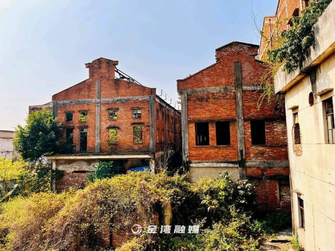 53岁的老糖厂,这次是真的要说再见了……_红旗糖厂_厂区_记忆