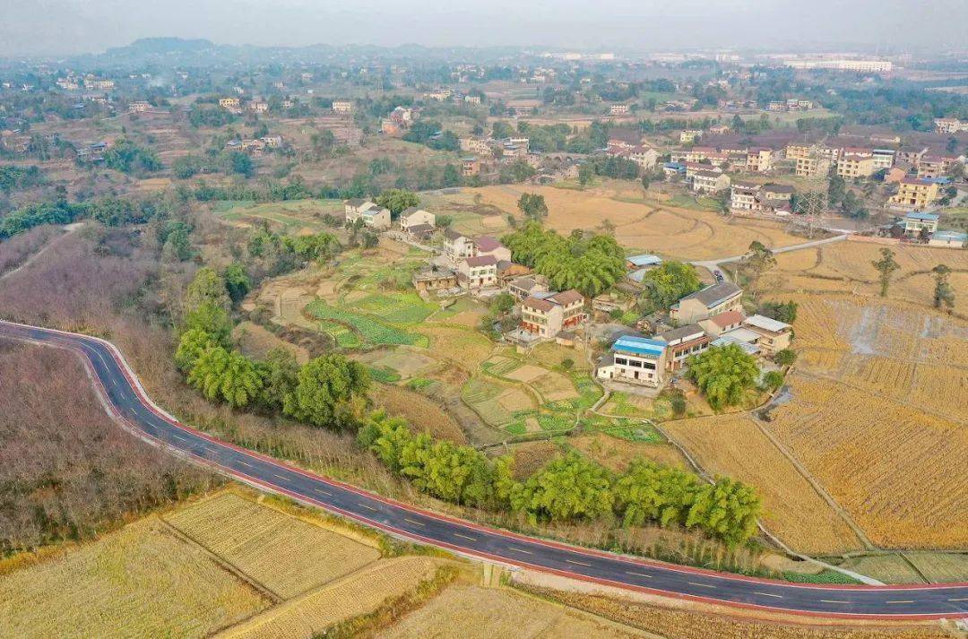 新华社重磅文章配图华蓥乡村旅游公路!_建设_全国_值班